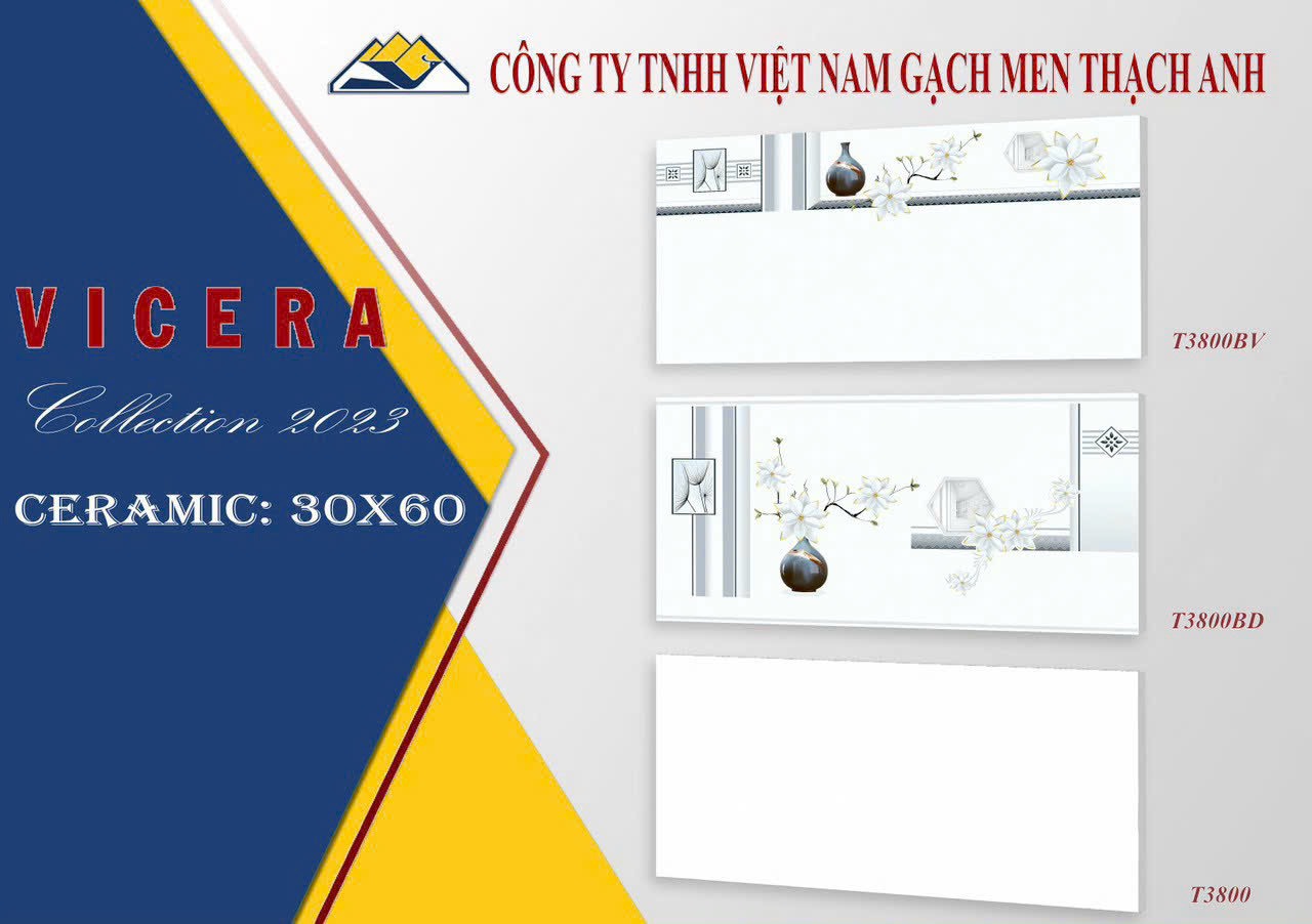 Gạch ốp tường 30x60 VICERA-847