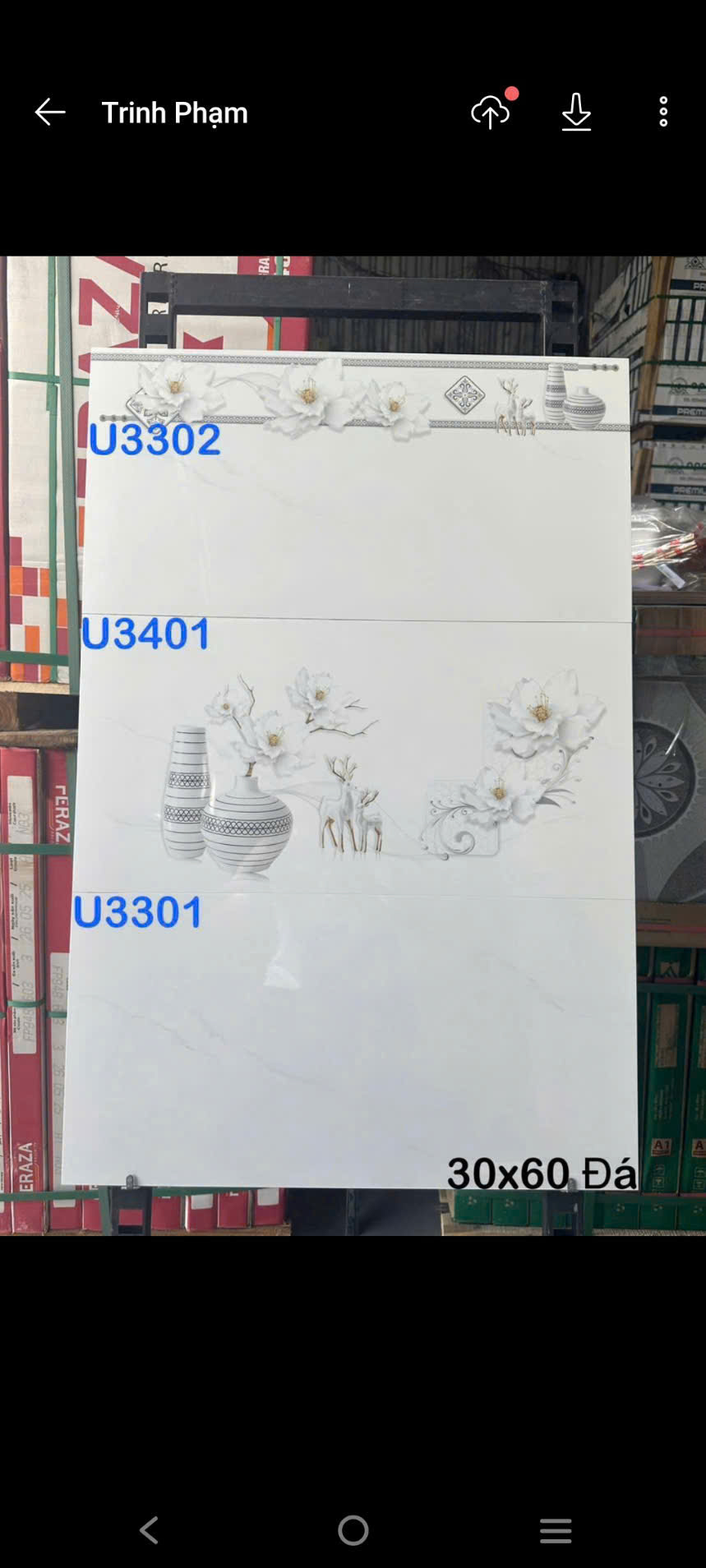Gạch Ốp Tường 30x60cm 3301-4207
