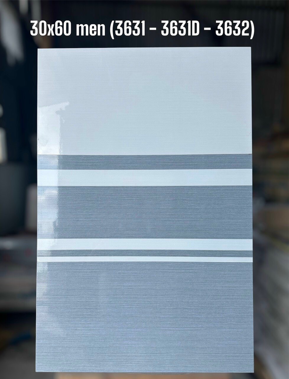 gạch ốp tường 30x60cm NPG-1655