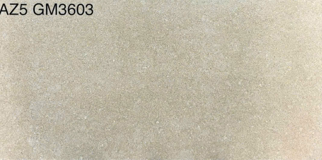 Gạch ốp tường 30x60cm Viglacera-3881