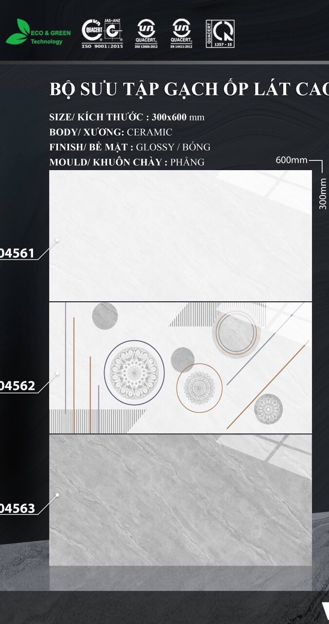 Gạch ốp tường 30x60cm VITTO-1661