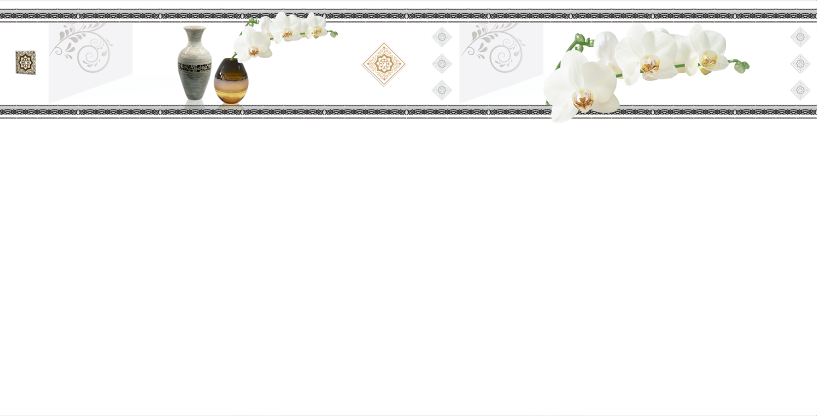 Gạch ốp tường Vicera 30x60cm (Viền)-2755