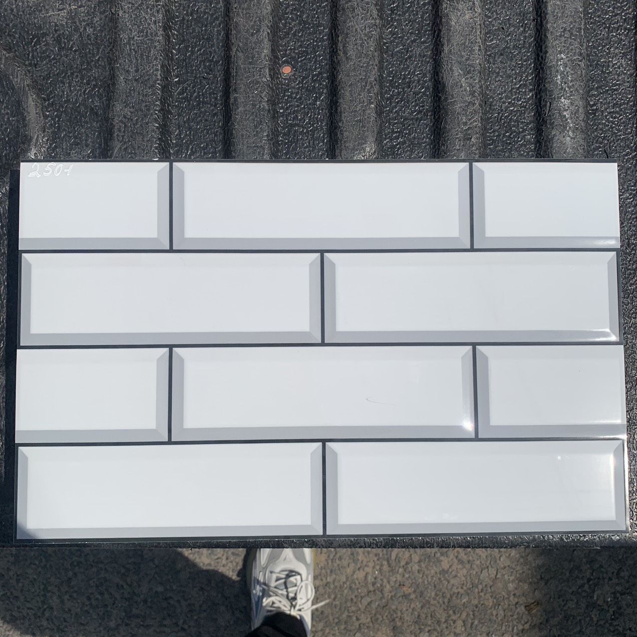 Gạch trang trí 25x50 -1349