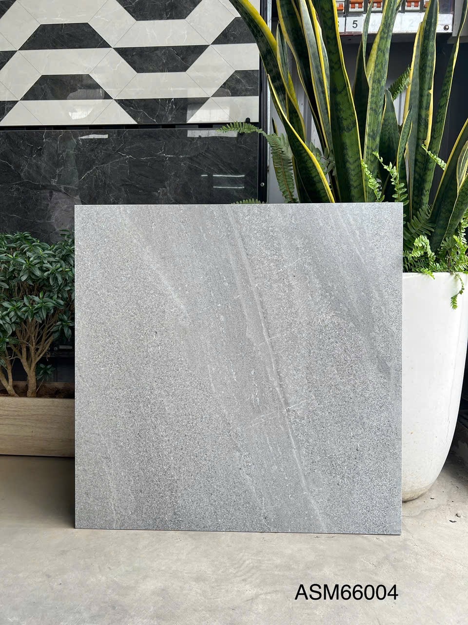 Gạch Lát Nền 60x60cm ASM66004-4759
