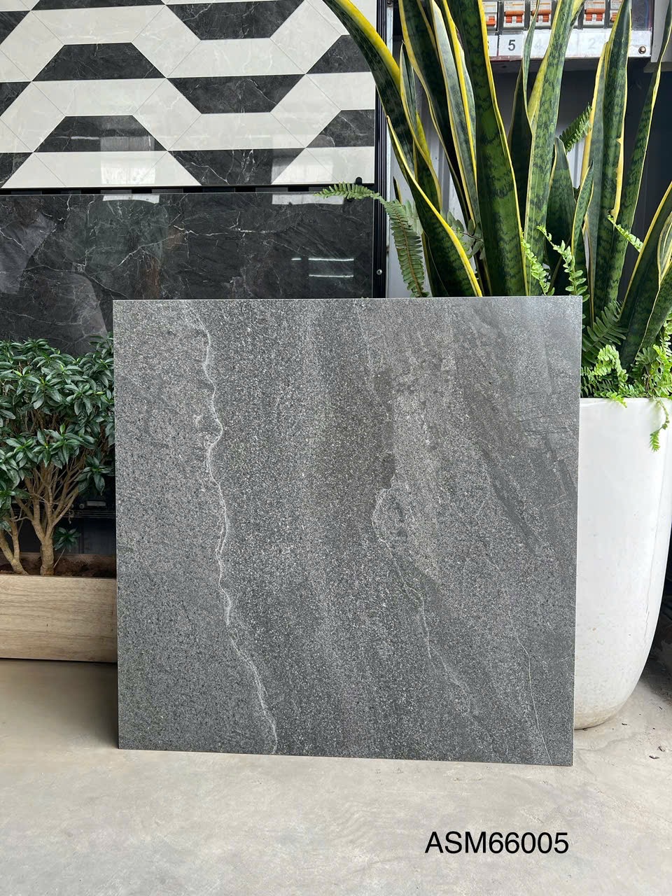 Gạch Lát Nền 60x60cm ASM66005-4760