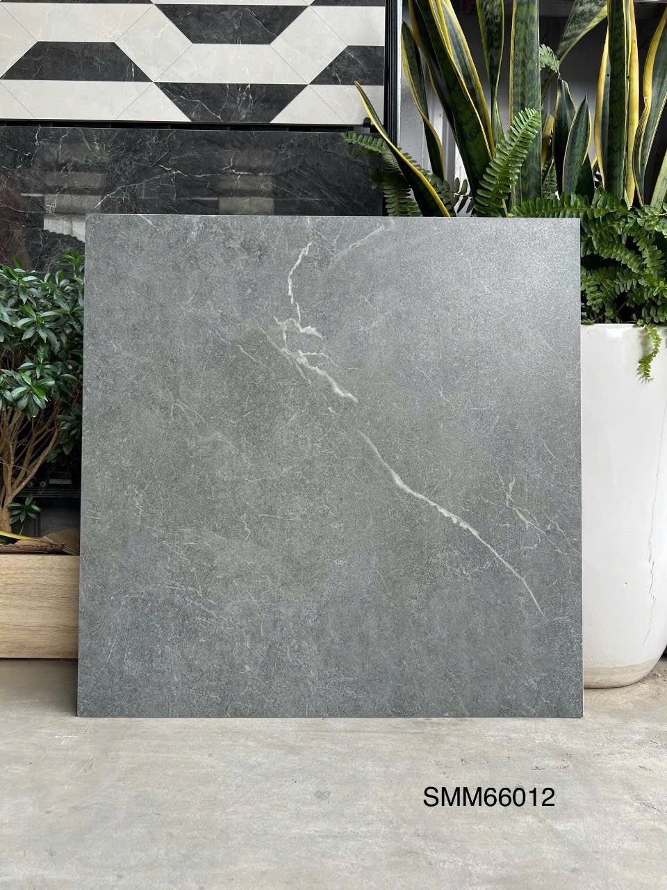 Gạch Lát Nền 60x60cm SMM66012-4750