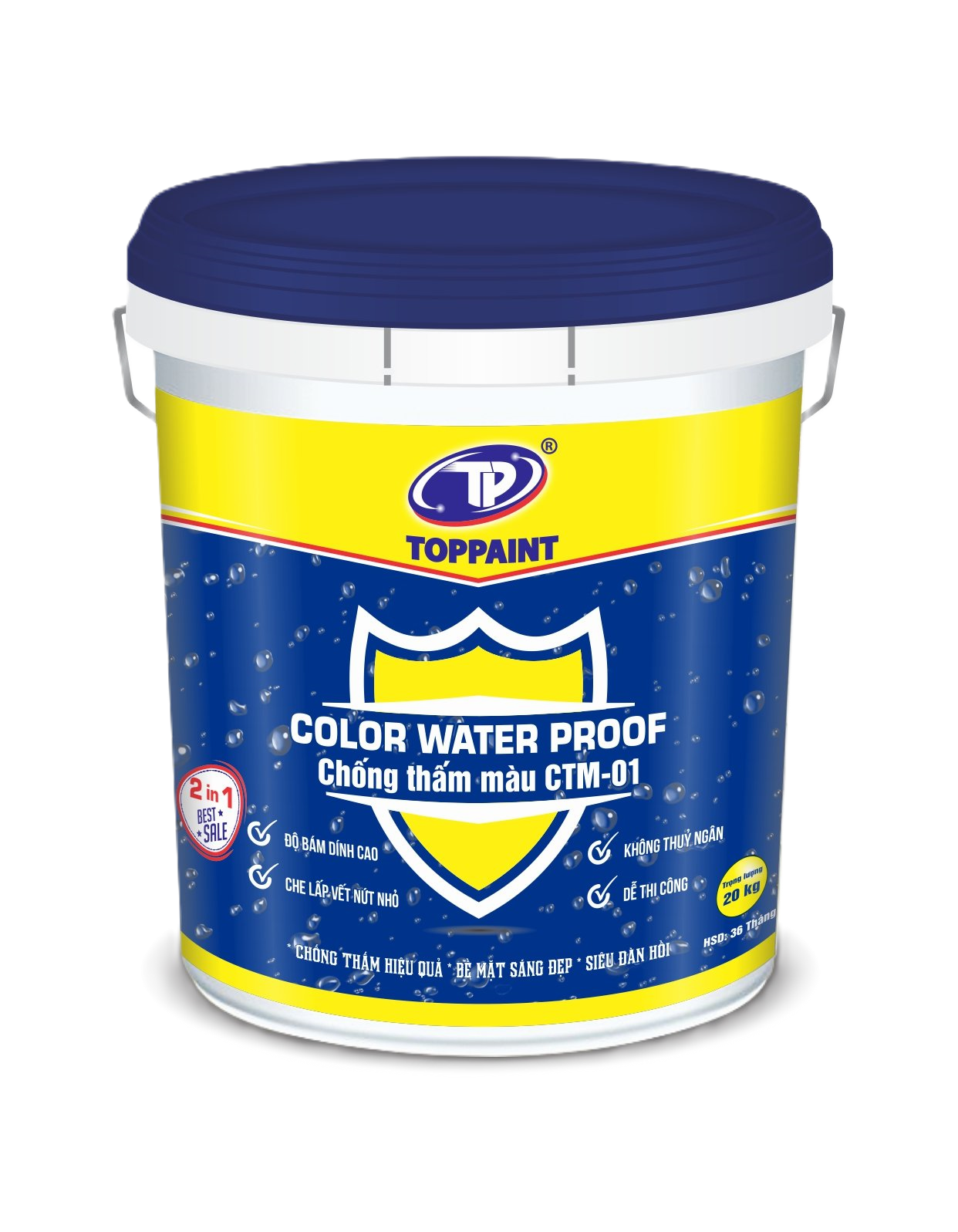 Sơn Chống thấm màu Color Water Proof CTM01 5kg-4150