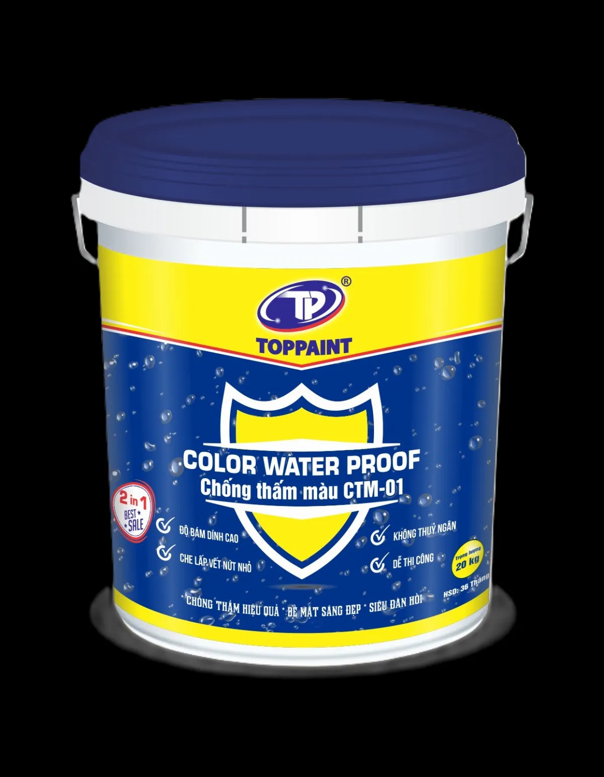 Sơn Chống thấm màu Color Water Proof CTM01 5kg-4150