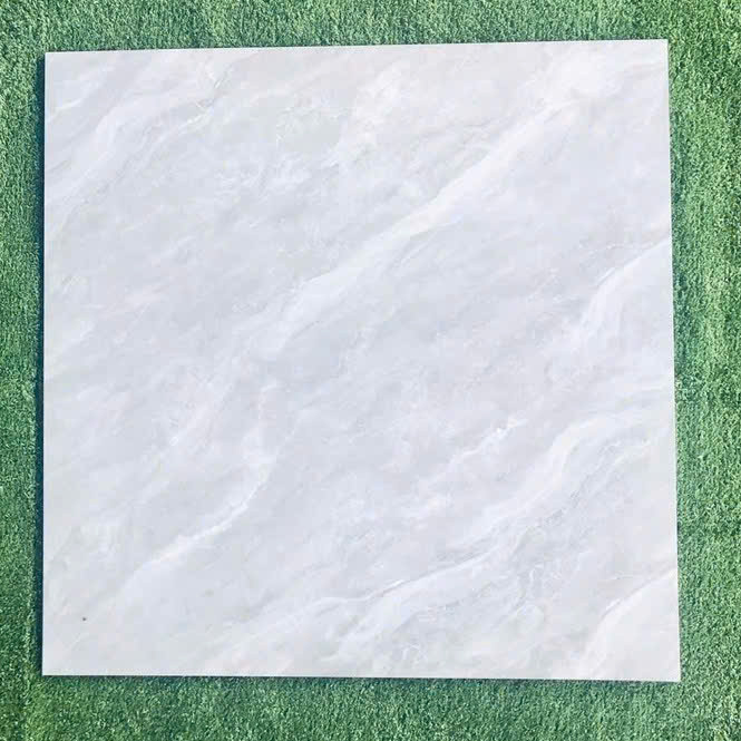 gạch ốp lát 60x60cm-4408
