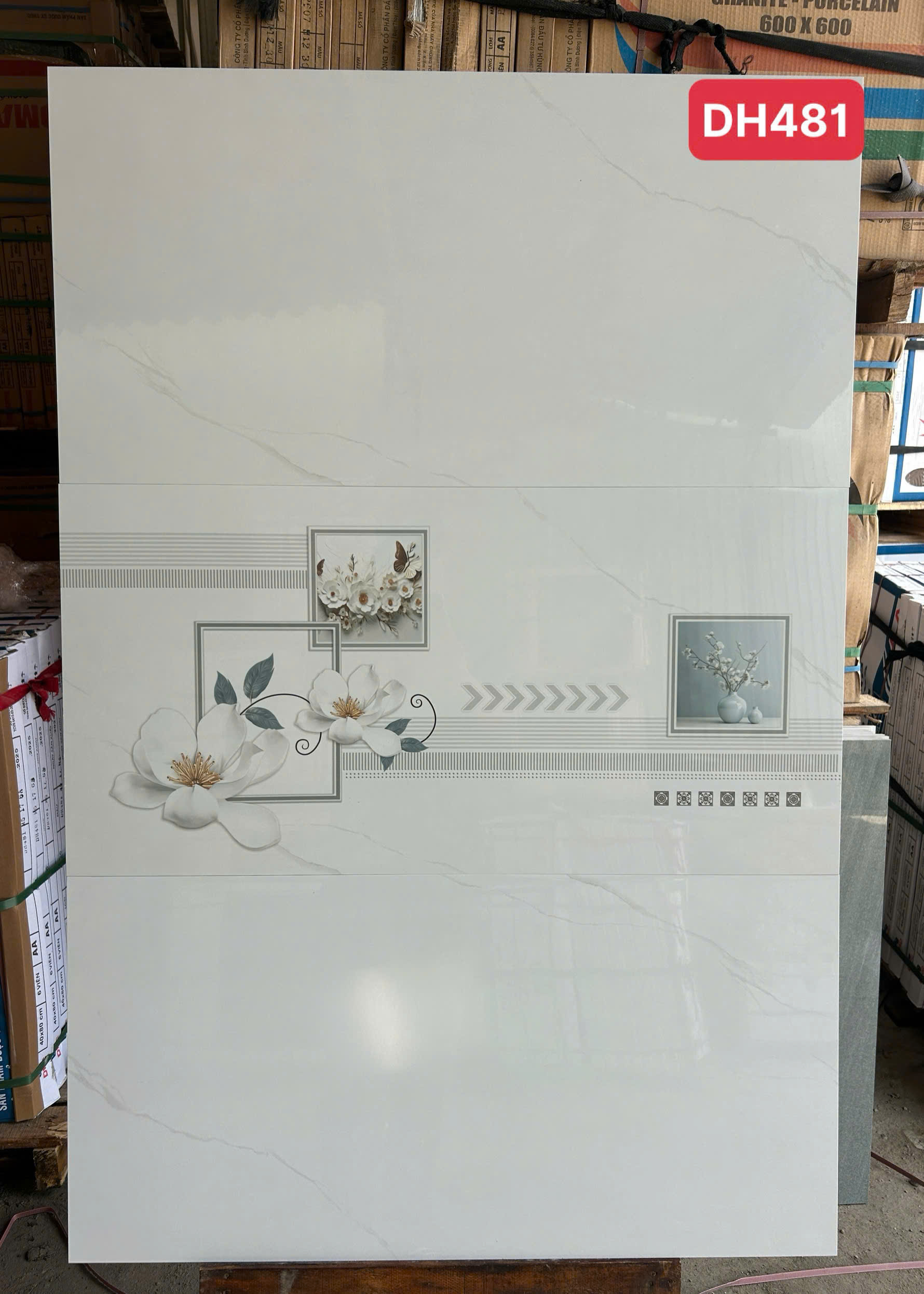 Gạch Ốp Tường 40x80 cm DH481-4464