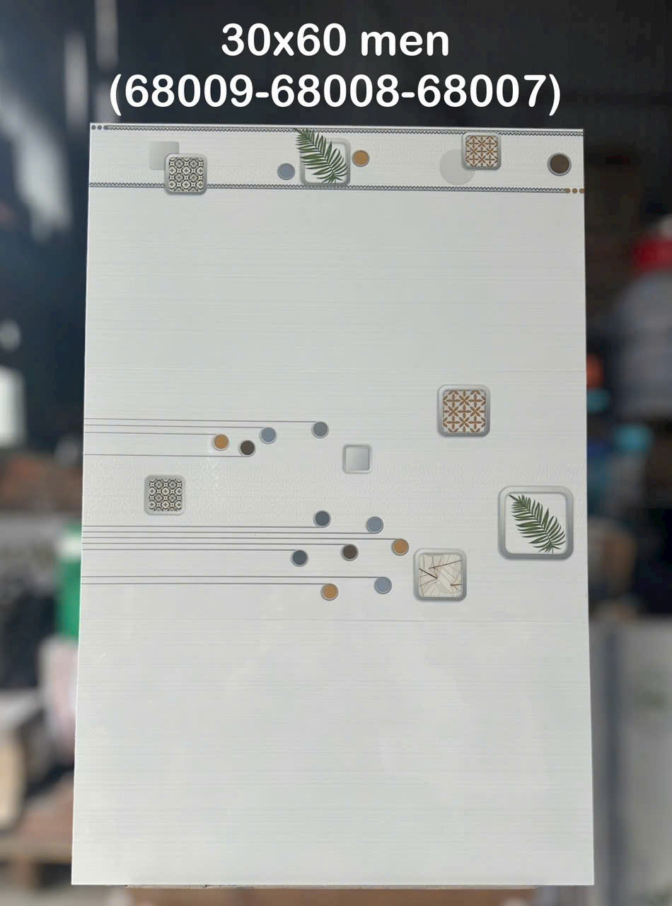 Gạch Ốp Tường 30x60cm ( điểm )-4507