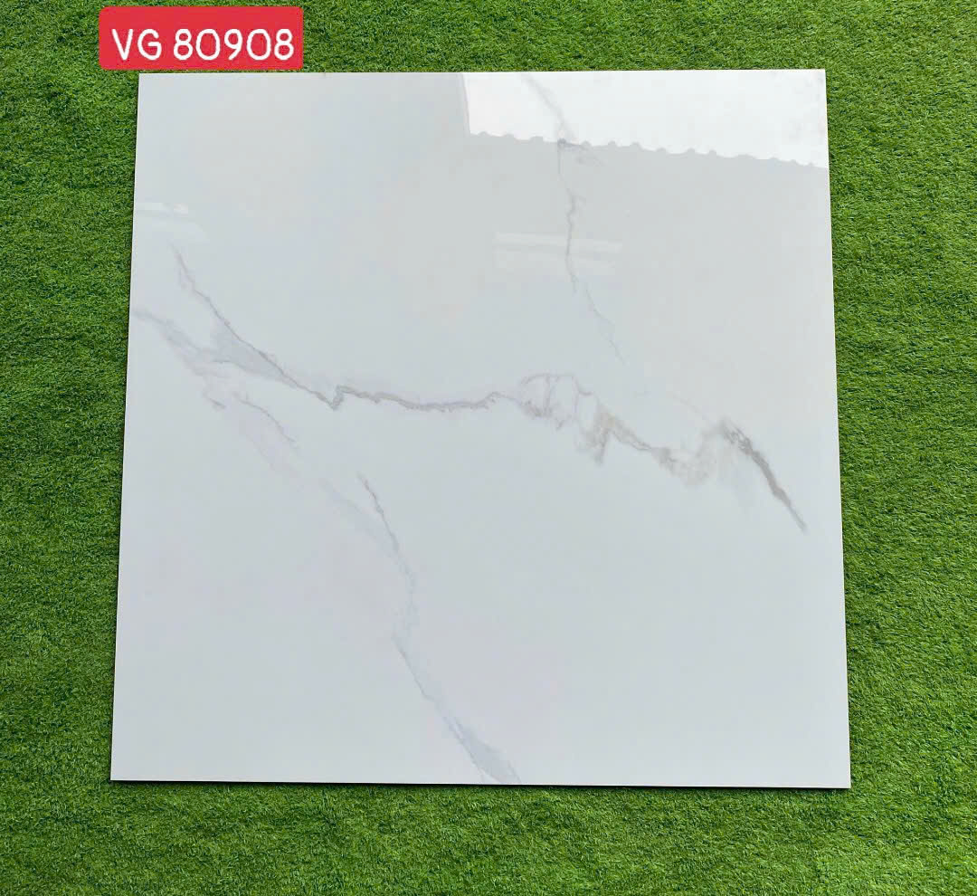 Gạch ốp lát 80x80cm -4683