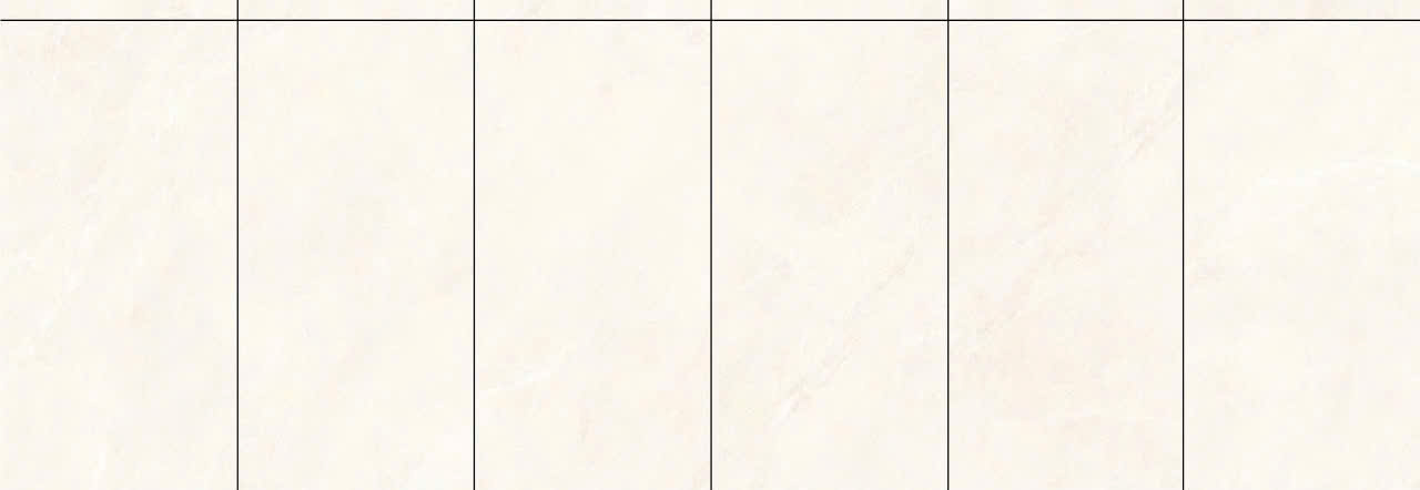 Gạch Ốp Tường 40x80cm -4929