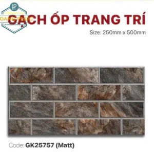 Gạch Trang Trí 25x50cm -5553